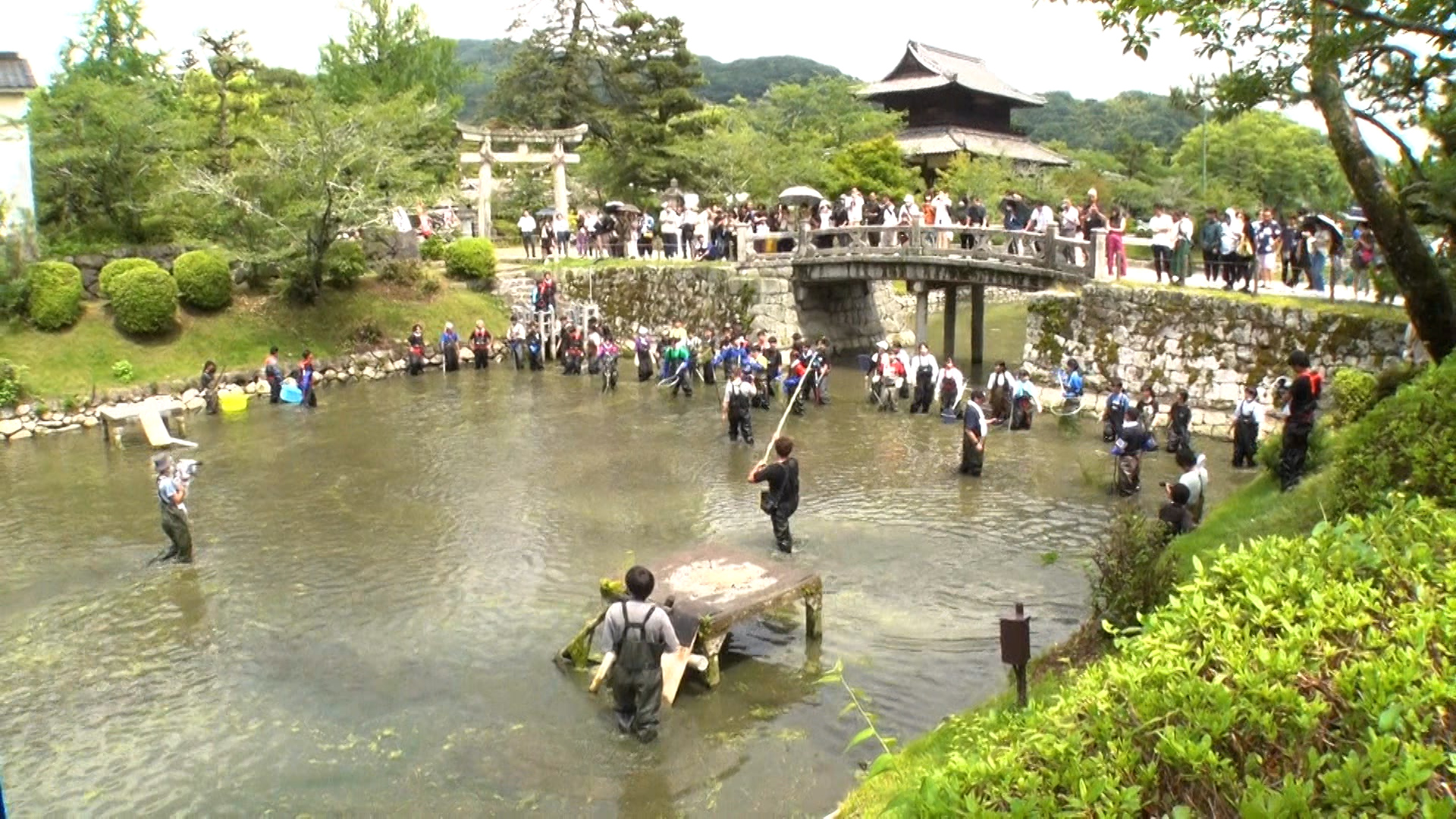 池 の 水 ぜんぶ 抜く